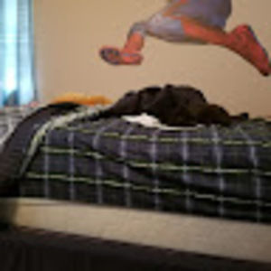 Meet your Posher, Sean